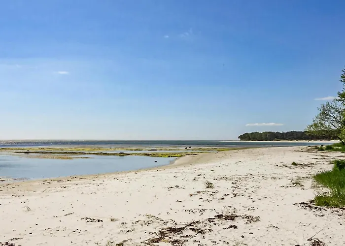 Lovely In With Wifi *